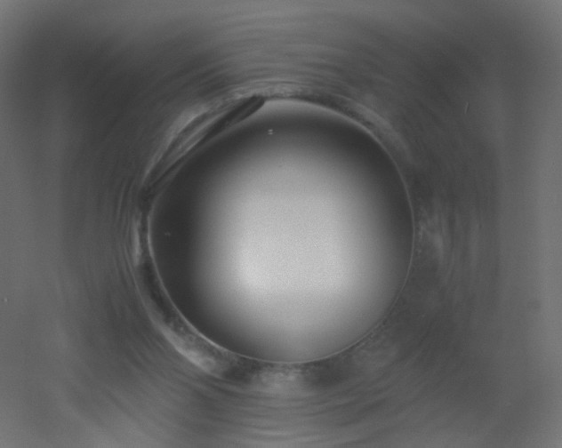 X0000053070110200507111228