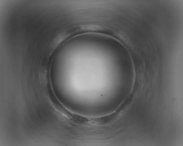 X0000053070111200507111228