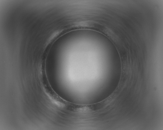 X0000053070112200507111228