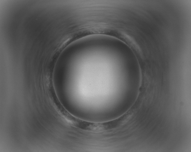 X0000053070113200507111228