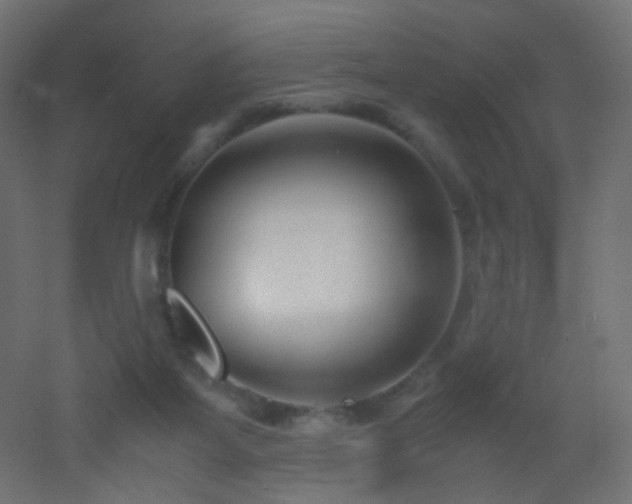 X0000053070115200507111228