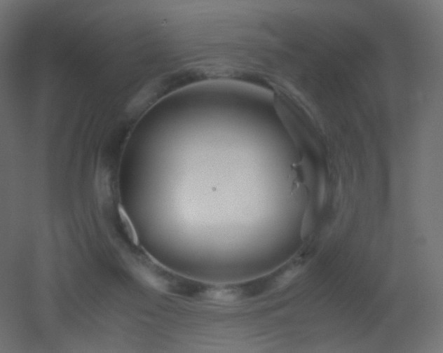 X0000053070117200507111228