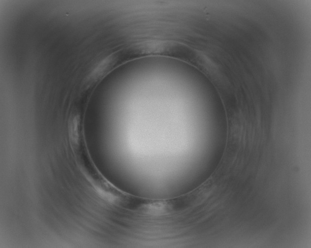 X0000053070118200507111228