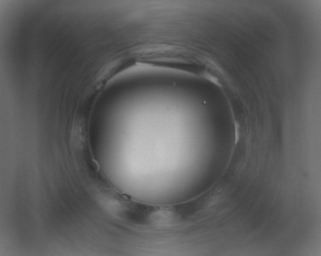 X0000053070119200507111228