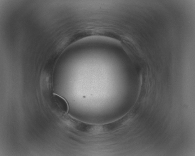 X0000053070123200507111228