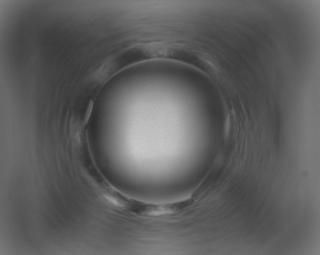 X0000053070125200507111228