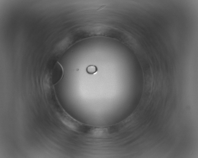 X0000053070126200507111228