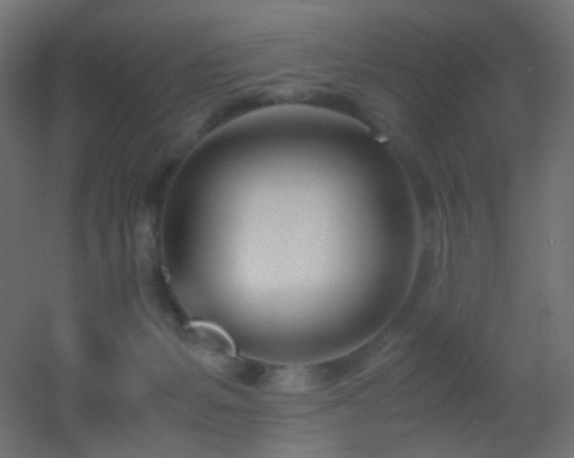 X0000053070127200507111228