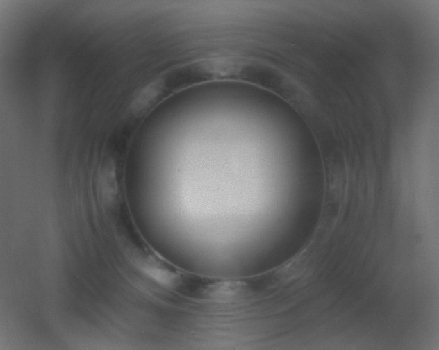 X0000053070128200507111228