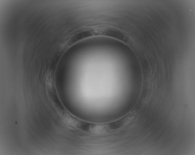 X0000053070129200507111228