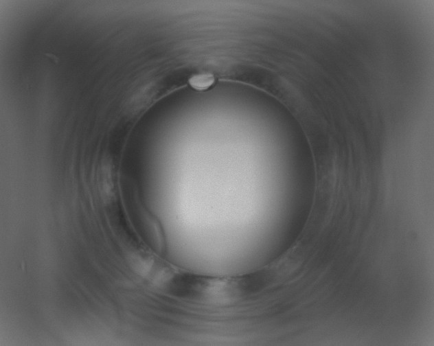 X0000053070130200507111228