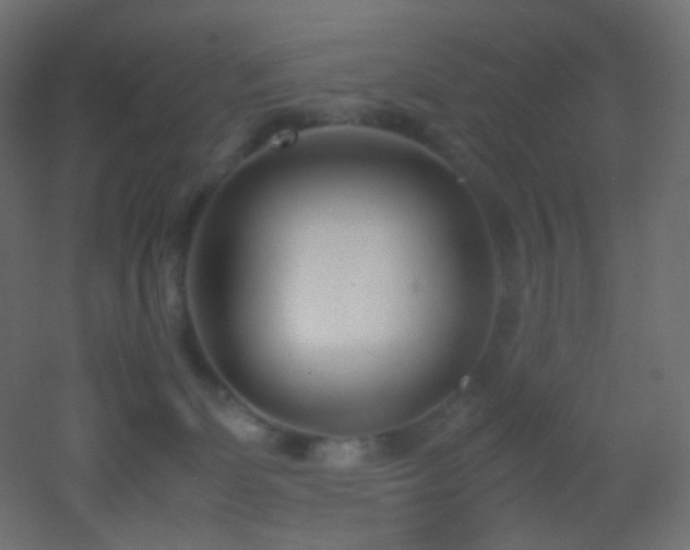 X0000053070131200507111228