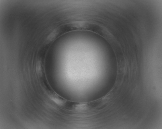 X0000053070132200507111228