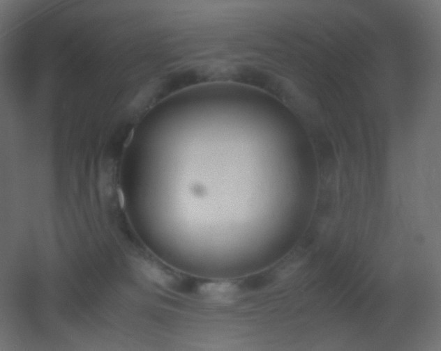 X0000053070133200507111228