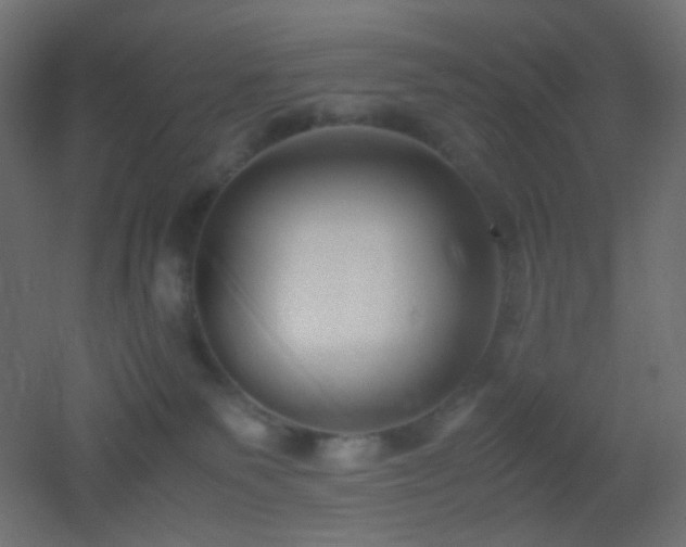 X0000053070135200507111228