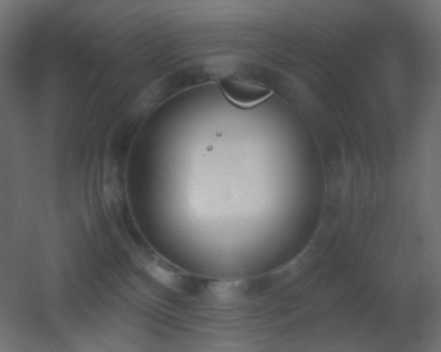 X0000053070136200507111228