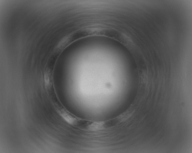 X0000053070138200507111228