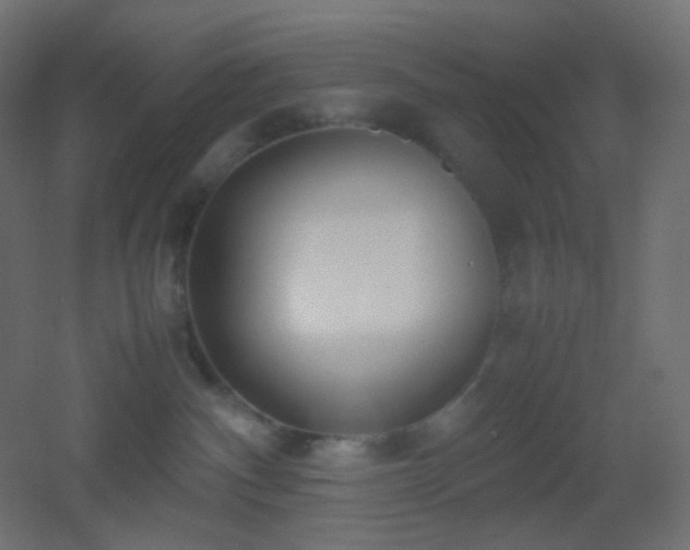 X0000053070140200507111228