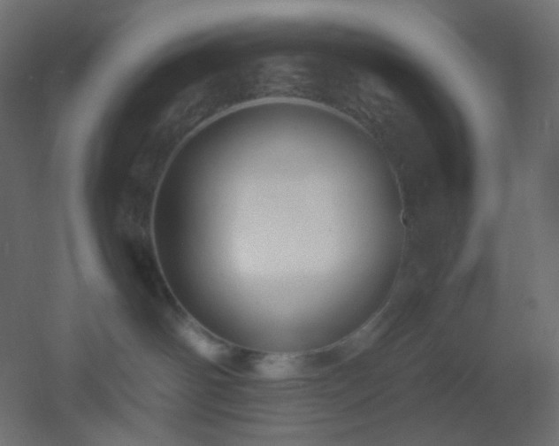 X0000053070142200507111228