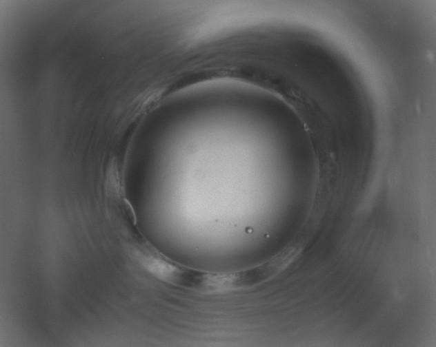 X0000053070143200507111228