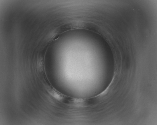 X0000053070144200507111228