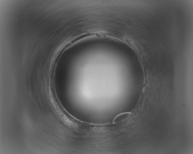 X0000053070145200507111227