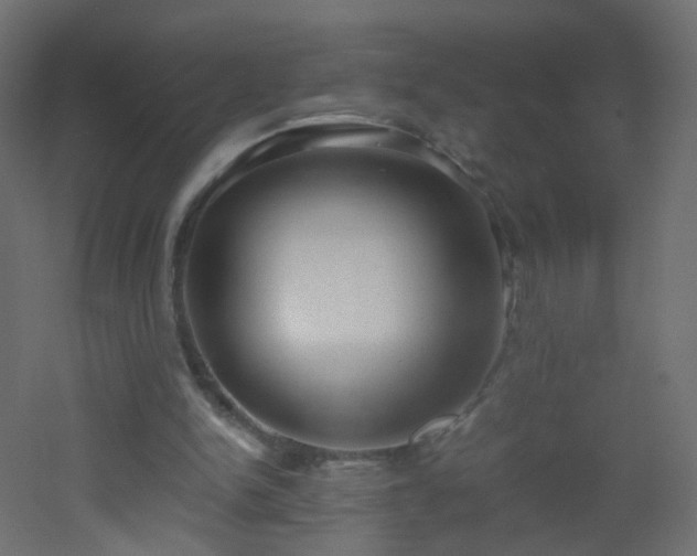 X0000053070150200507111227