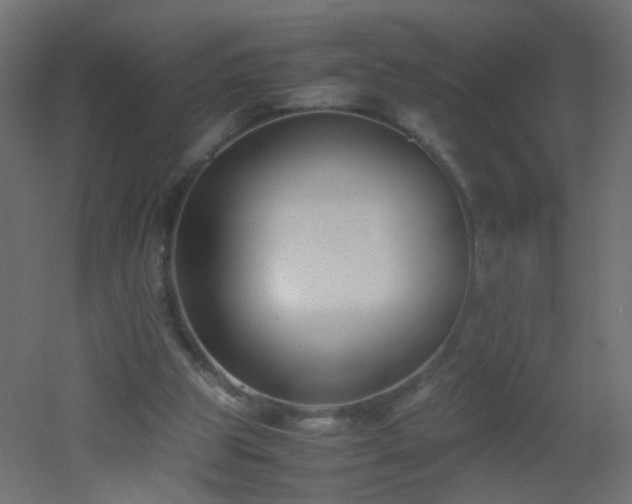 X0000053070153200507111227