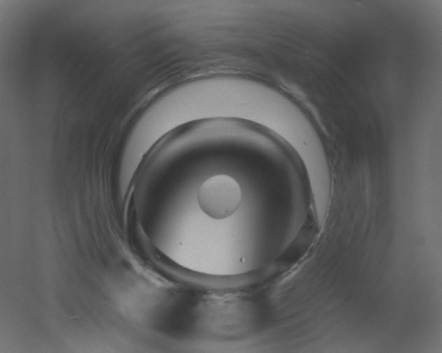 X0000053070154200507111227