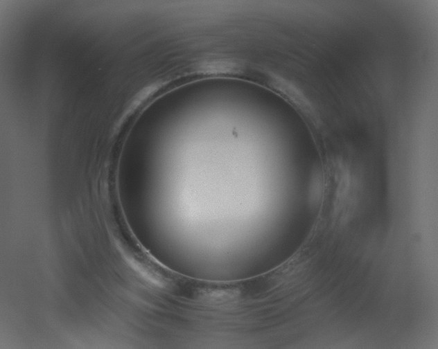 X0000053070155200507111227