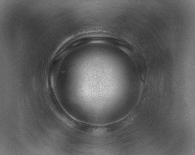 X0000053070156200507111227