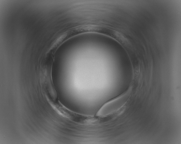 X0000053070158200507111227