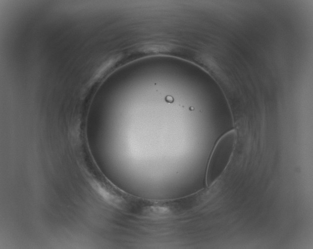 X0000053070159200507111227