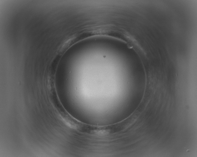 X0000053070161200507111227