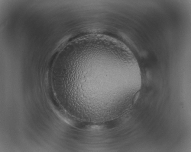 X0000053070163200507111227