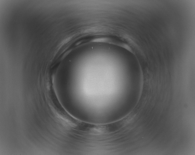 X0000053070164200507111227