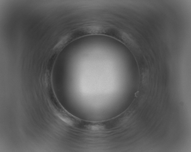 X0000053070165200507111227