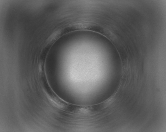 X0000053070166200507111227