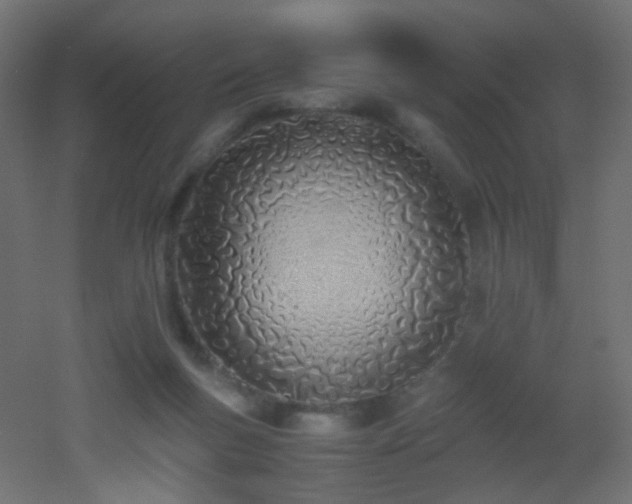 X0000053070167200507111227
