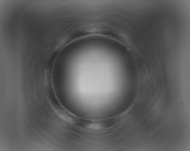 X0000053070171200507111228