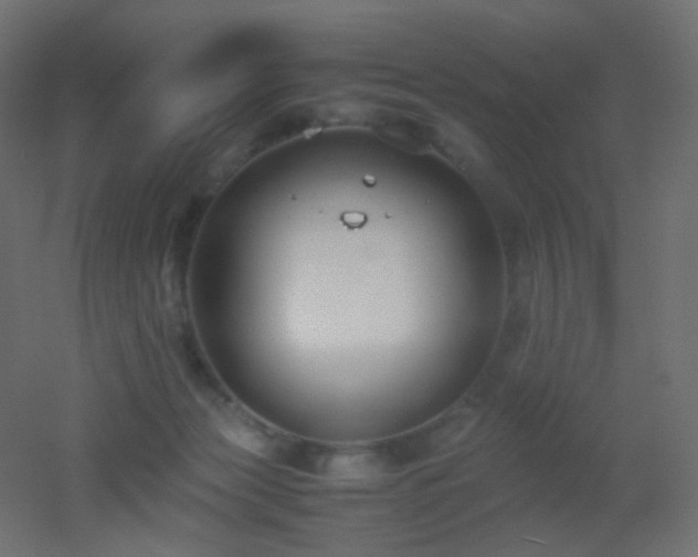 X0000053070173200507111228