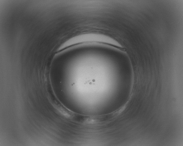 X0000053070174200507111228