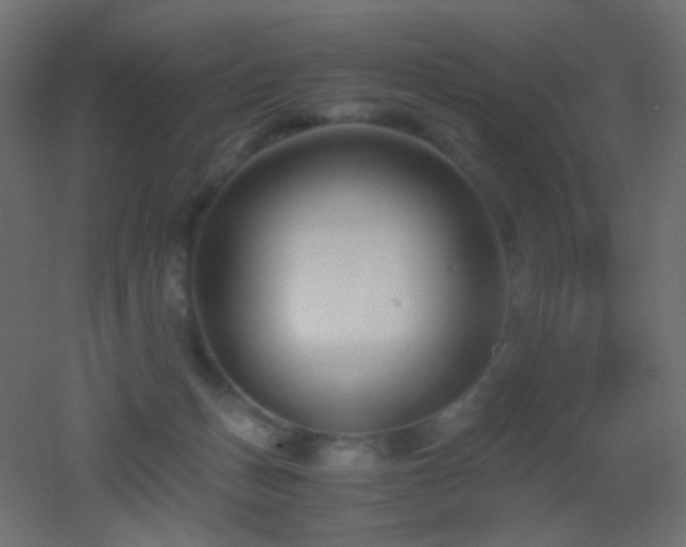 X0000053070175200507111228