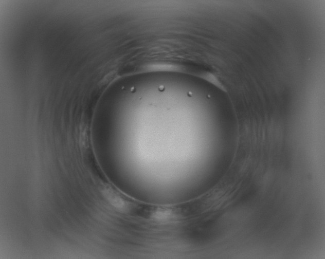 X0000053070177200507111228