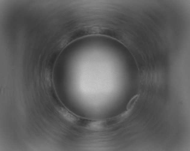 X0000053070178200507111228