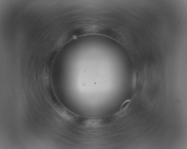 X0000053070179200507111228