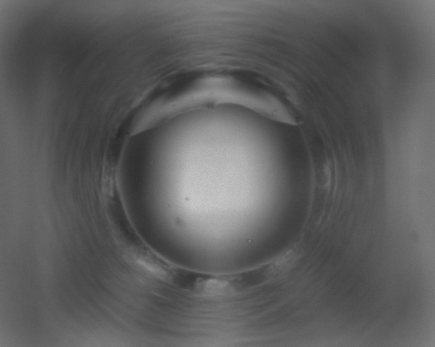 X0000053070180200507111228