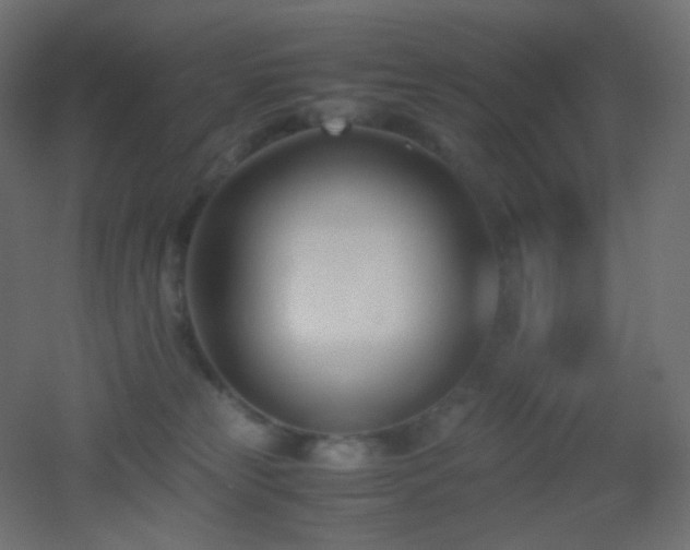 X0000053070181200507111228