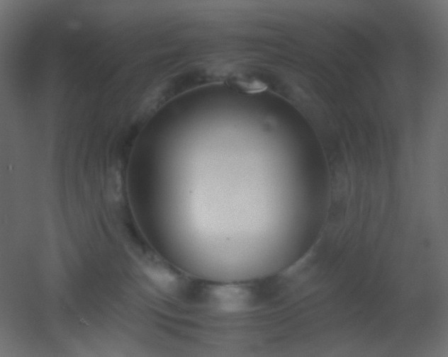 X0000053070183200507111228