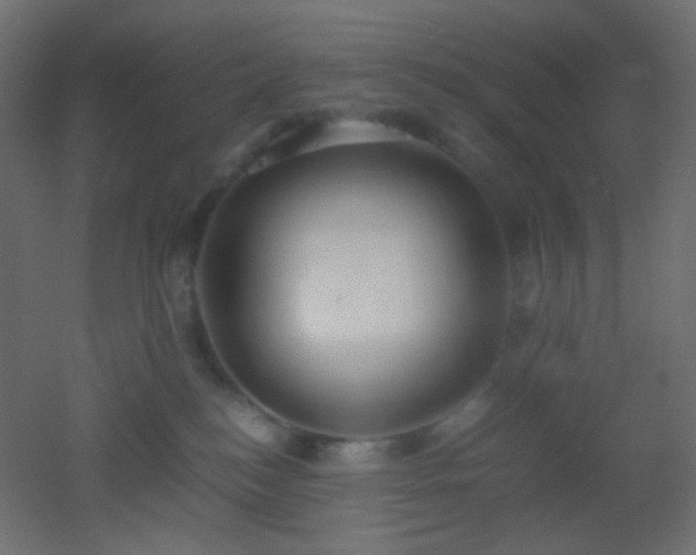 X0000053070184200507111228